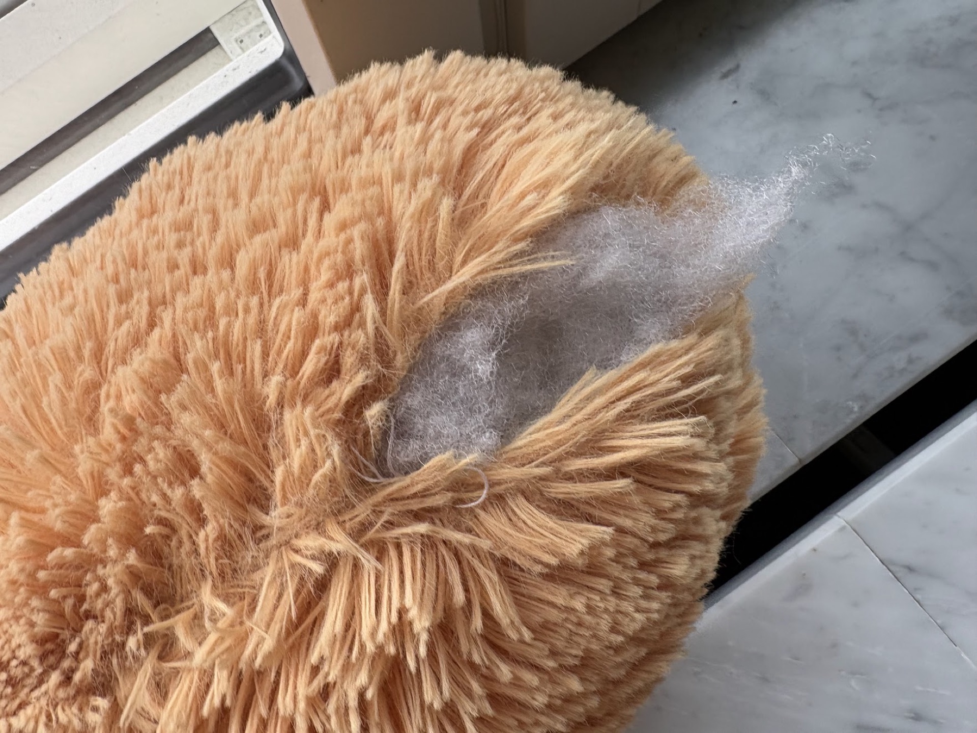 超大泰迪熊 毛绒玩具（约 120cm，脚掌有破口） (2)