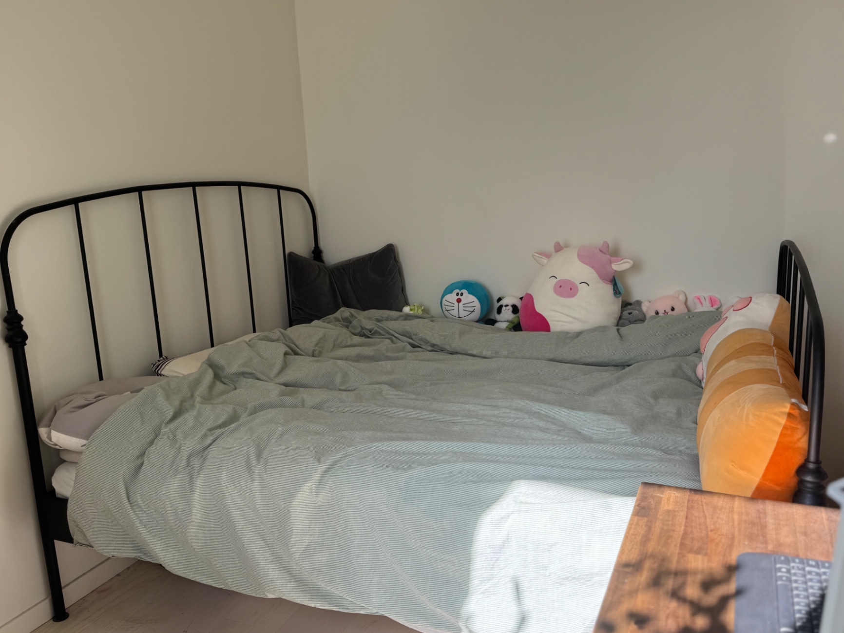 IKEA 双人床 160x200（床架 + 床垫） (4)